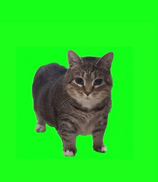 richolman